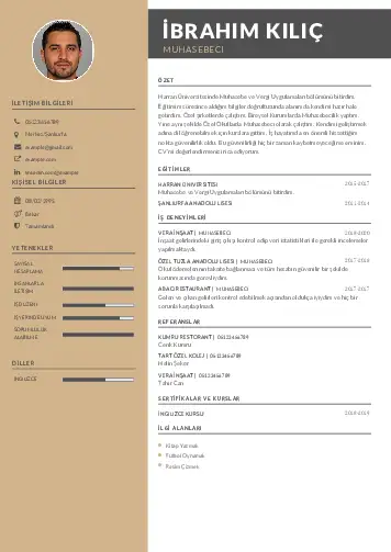 Muhasebeci Cv Örnekleri cv indir